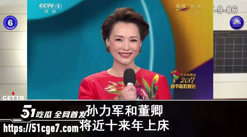 董卿黑历史曝光 18 拷贝