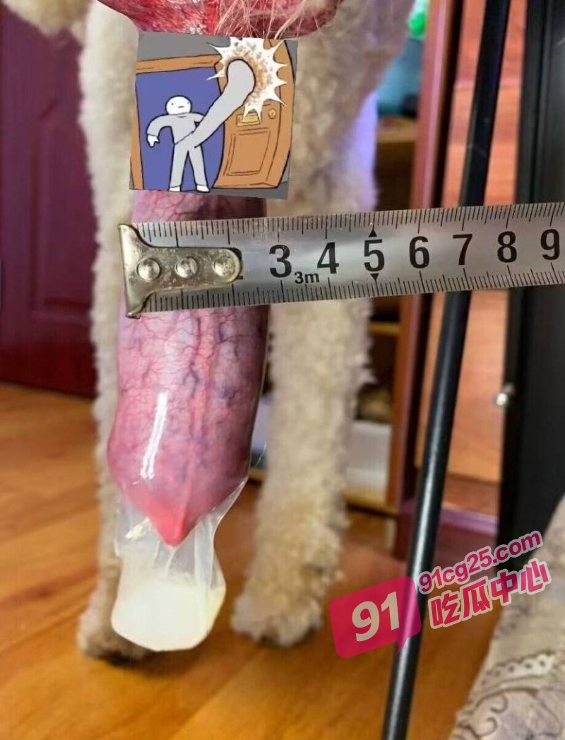 6_W_800px.jpg 6_W_800px.jpg