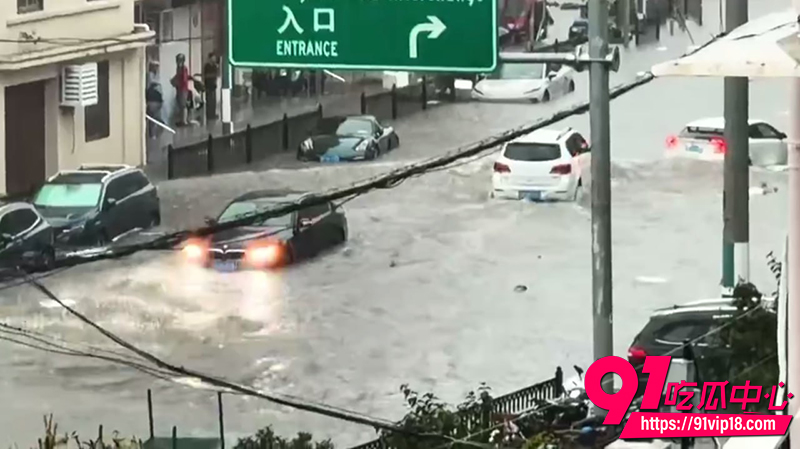 上海特大暴雨  5