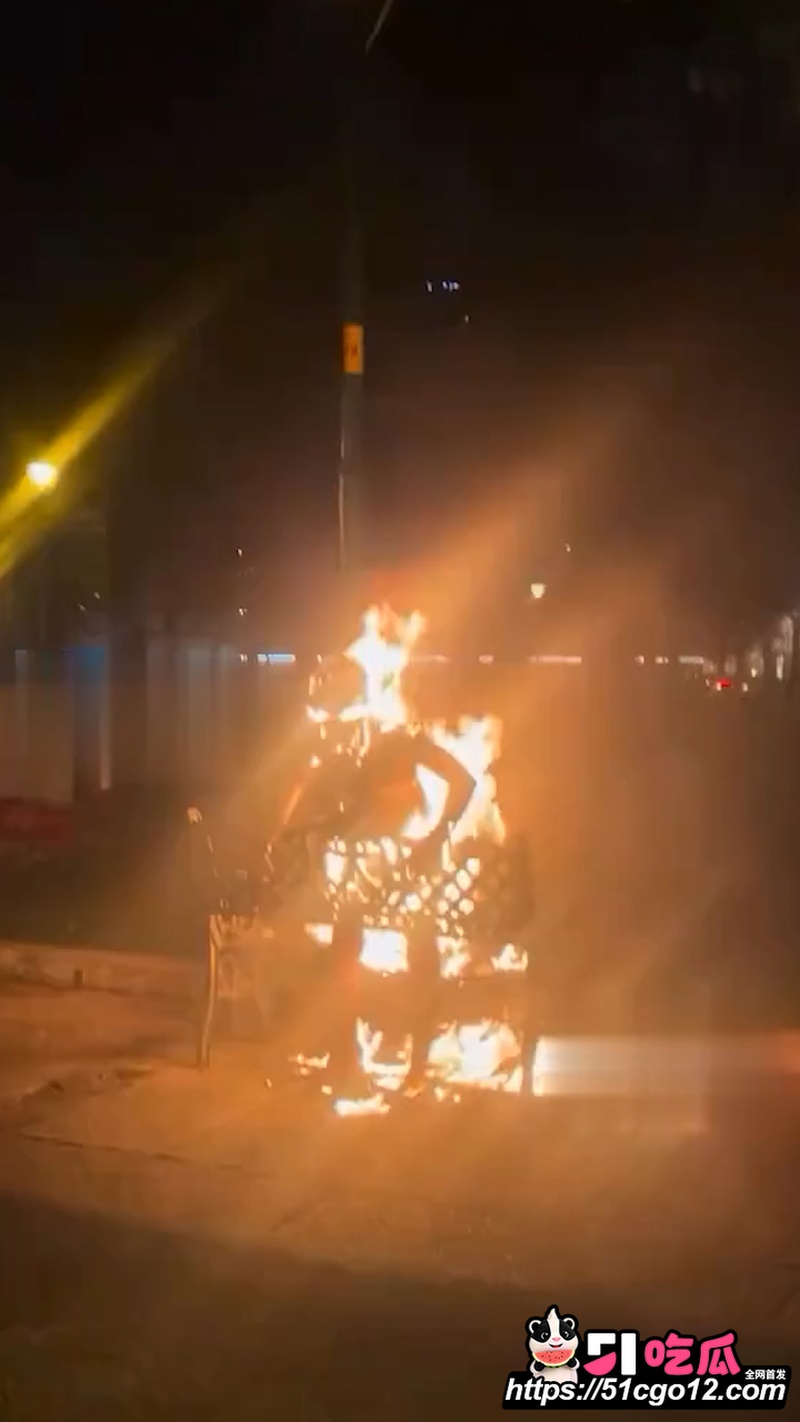越南圣母大教堂自焚事件 2 越南圣母大教堂自焚事件 2