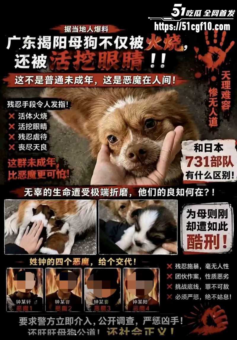 广东揭阳4人虐狗事件01 广东揭阳4人虐狗事件01