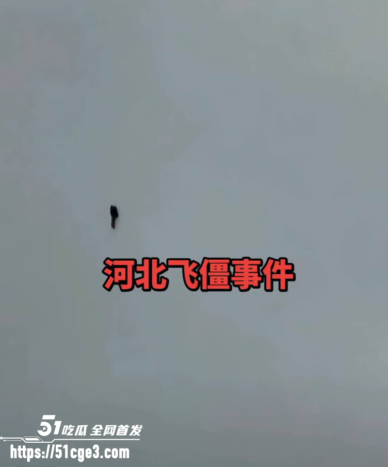 河北飞僵 高空黑影视频疯传 4 河北飞僵 高空黑影视频疯传 4