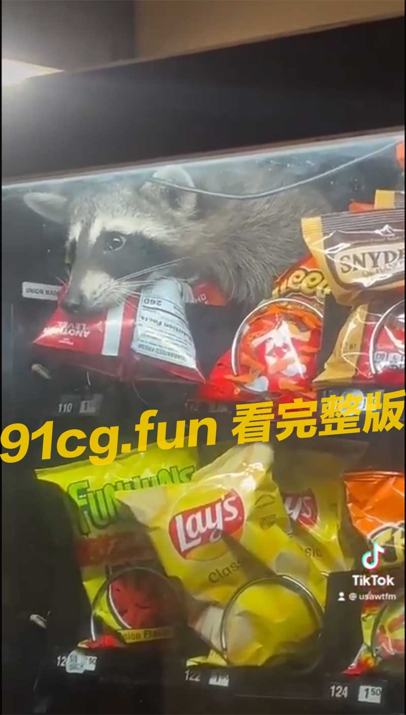 浣熊2.jpg 浣熊2.jpg