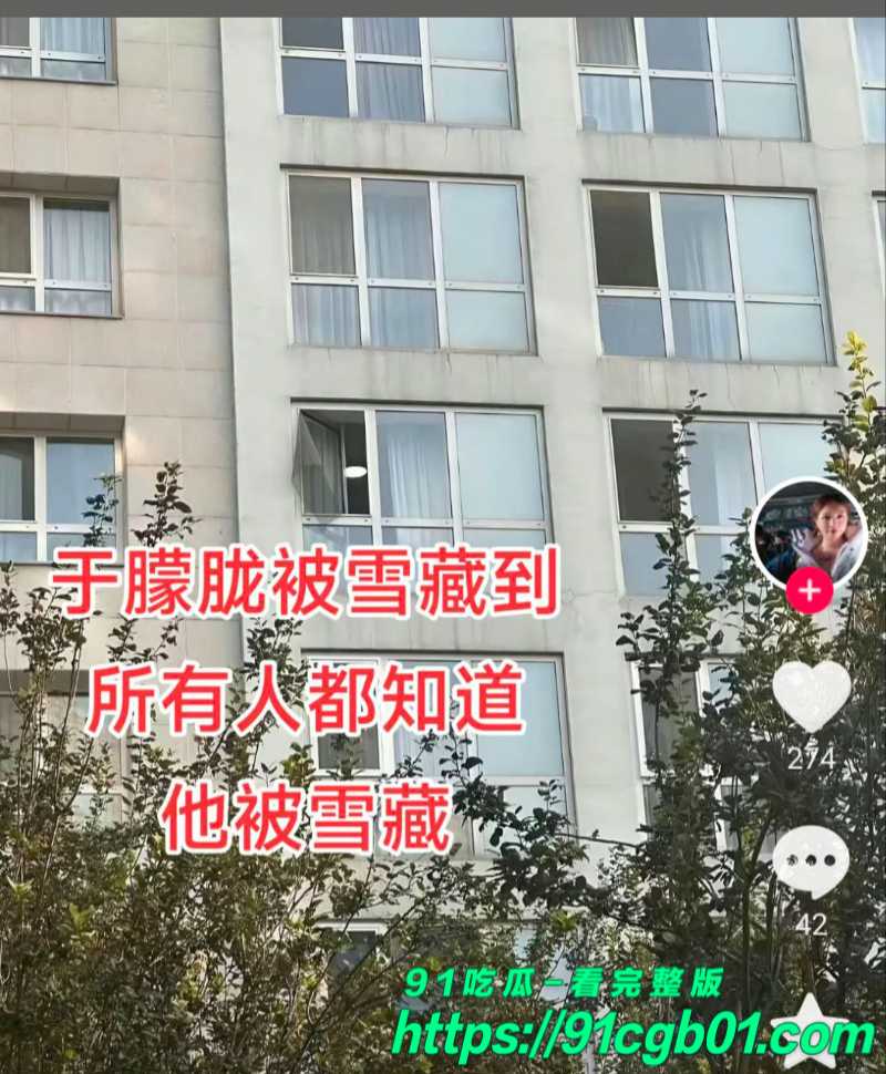 于朦胧死因真相大白11素材水印版