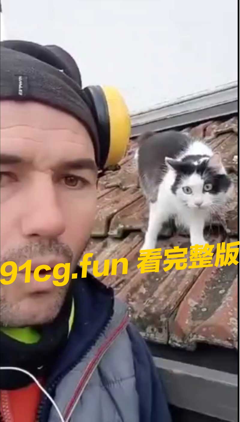 当我转生为猫这件事 #模仿