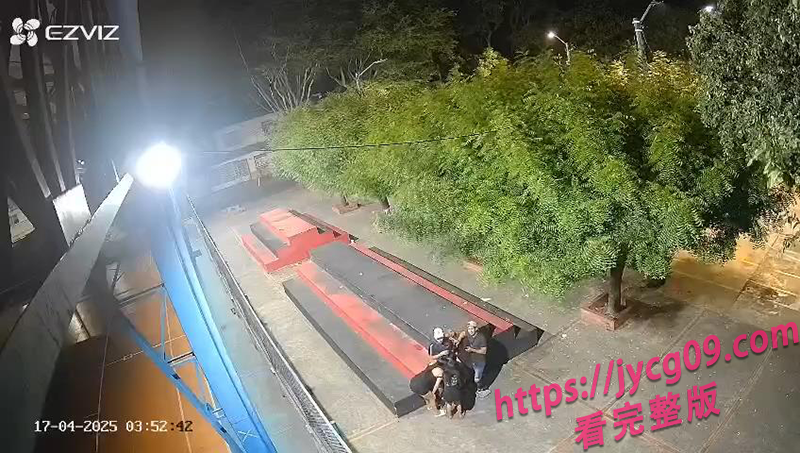 澳大利亚街头活春宫引爆全网！深夜多人互动尺度惊人 配图3