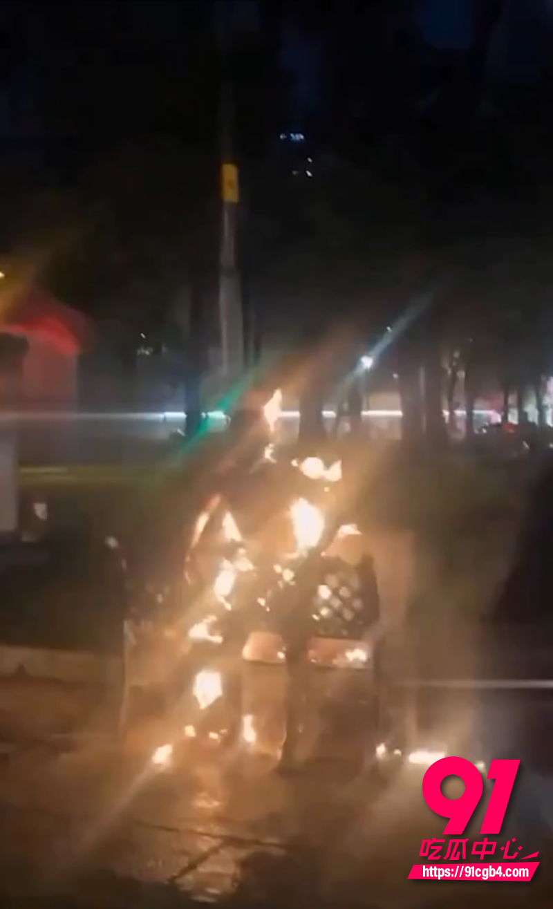 越南胡志明市公园自焚事件 4 越南胡志明市公园自焚事件 4