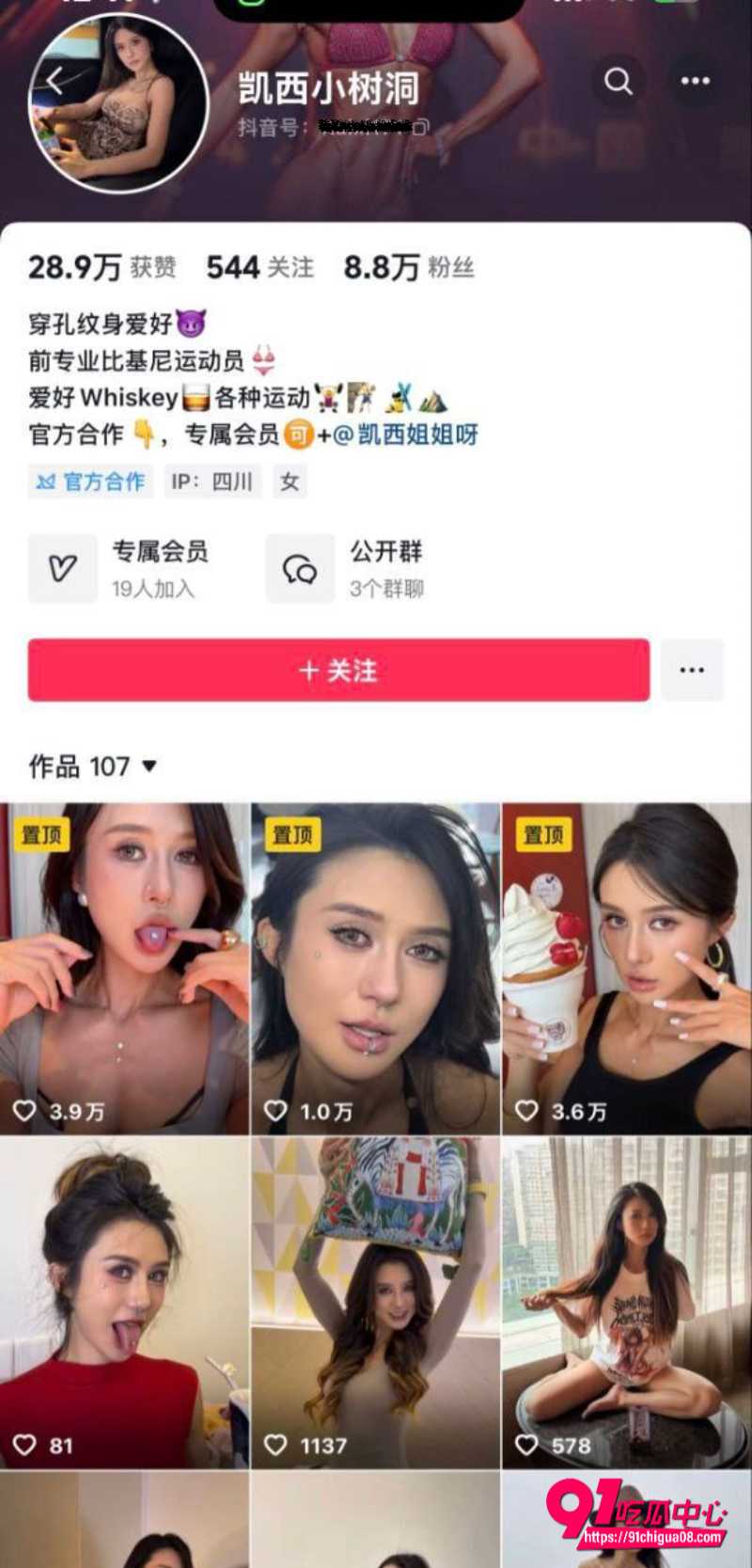 凯西小树洞 11