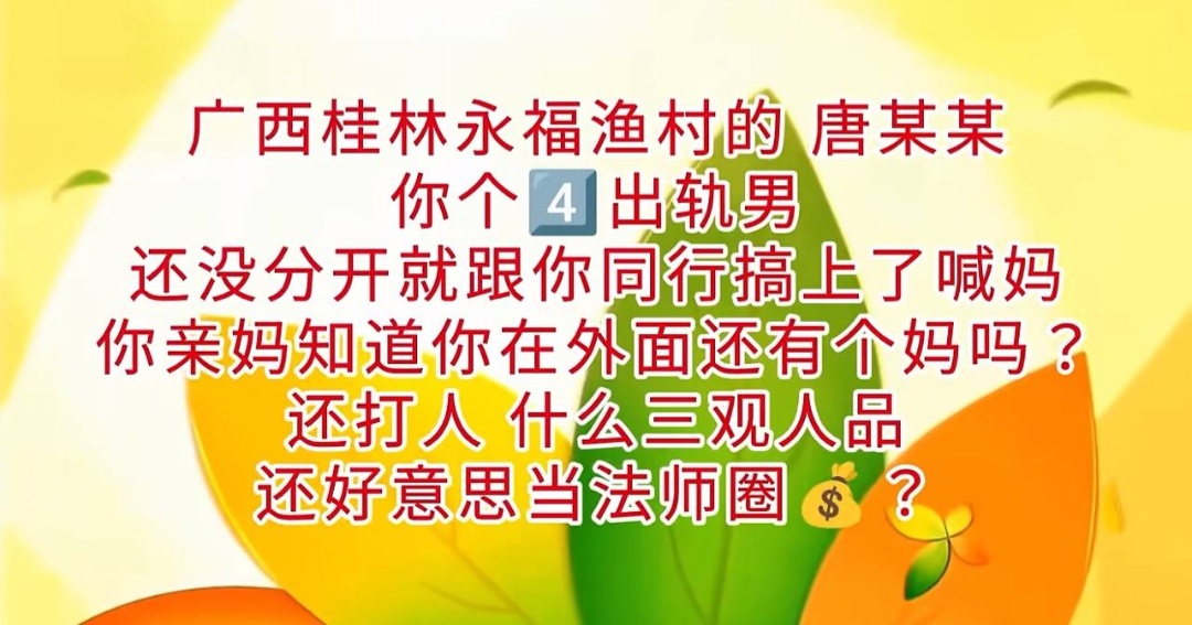 桂林唐法瑞被曝光出轨家暴1