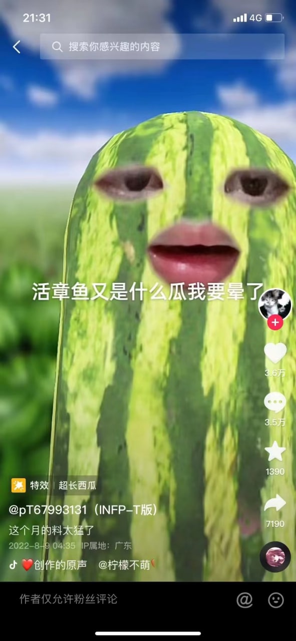 【重口视频 慎入!!】活章鱼 瓜在这儿! 古有黄鳝钻B,今有章鱼钻屁眼
