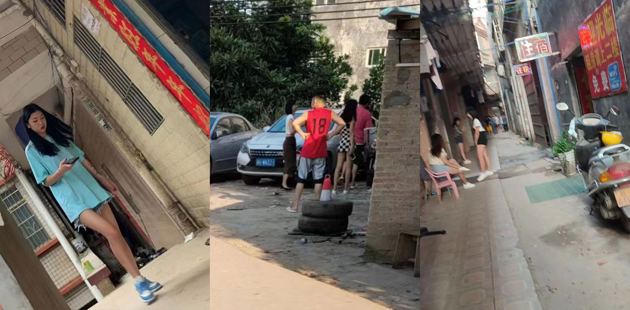 下载 19