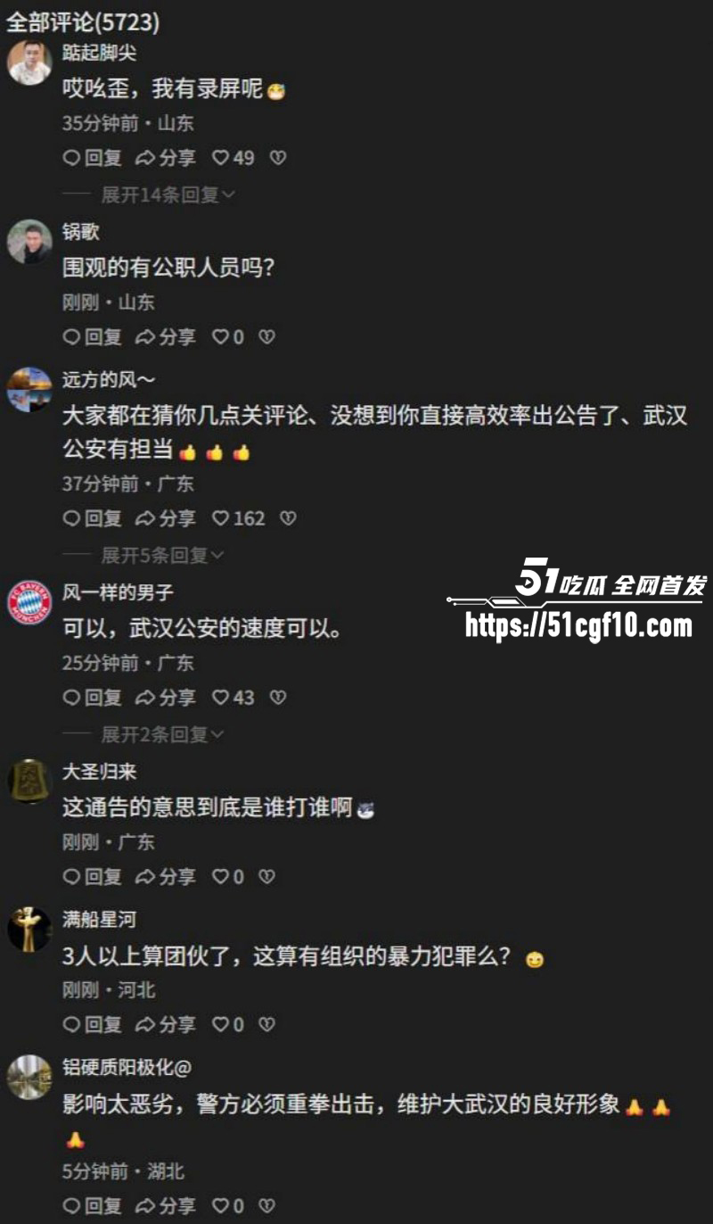 武汉天桥打人事件010