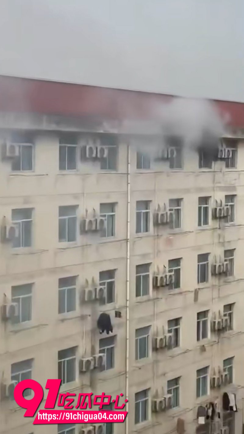 西安科技大学宿舍突发火灾学生跳楼身亡10 西安科技大学宿舍突发火灾学生跳楼身亡10