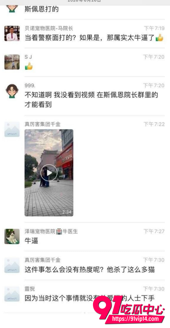 宠物碰瓷6 宠物碰瓷6