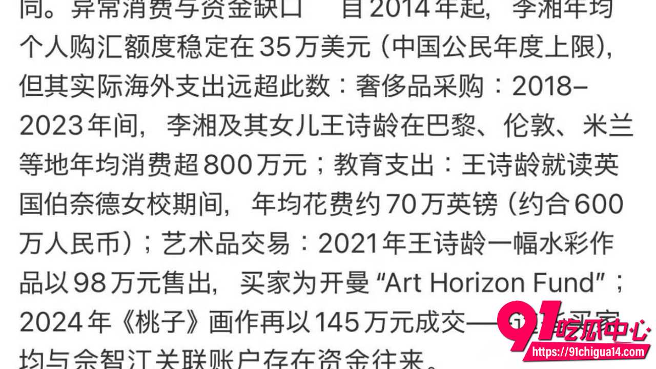 赵薇老公弟弟佘智江引渡回国16 赵薇老公弟弟佘智江引渡回国16