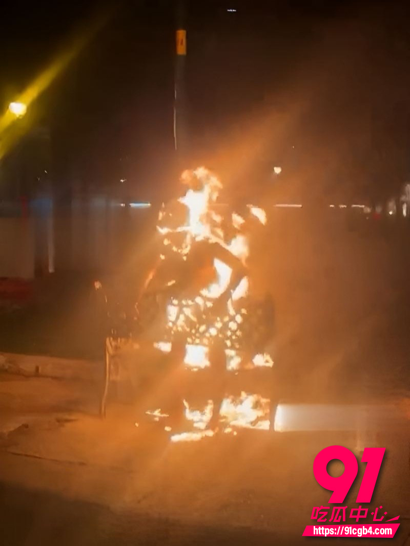 越南胡志明市公园自焚事件 3 越南胡志明市公园自焚事件 3
