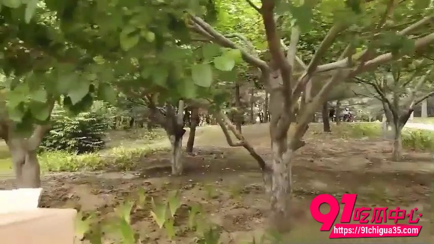 户外露出2 户外露出2