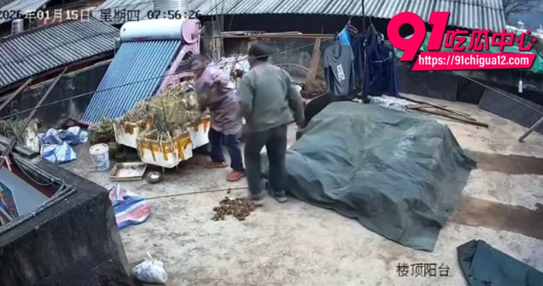云南盈江家暴4 云南盈江家暴4