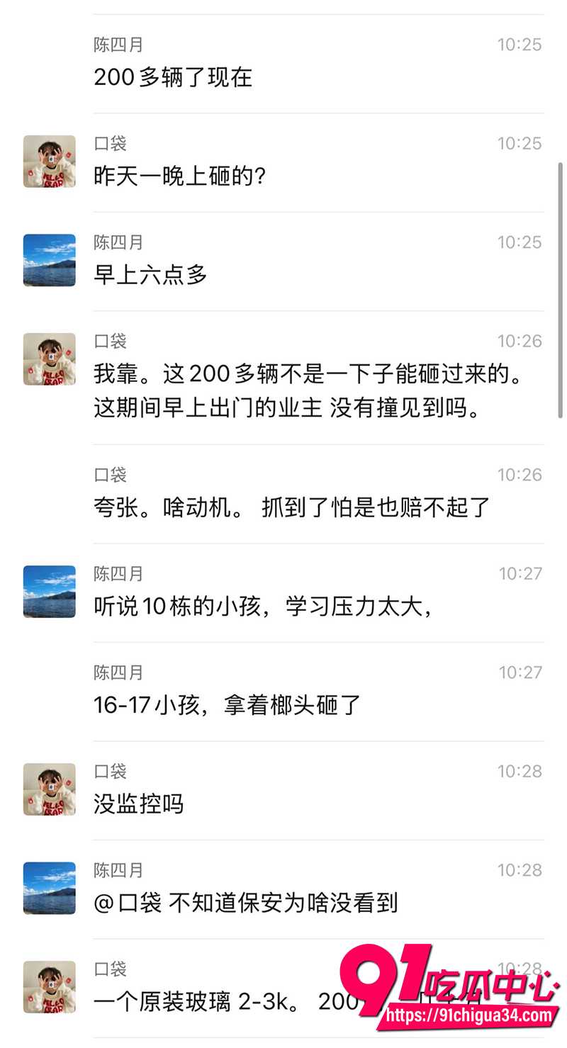 少年狂砸200辆豪车 2