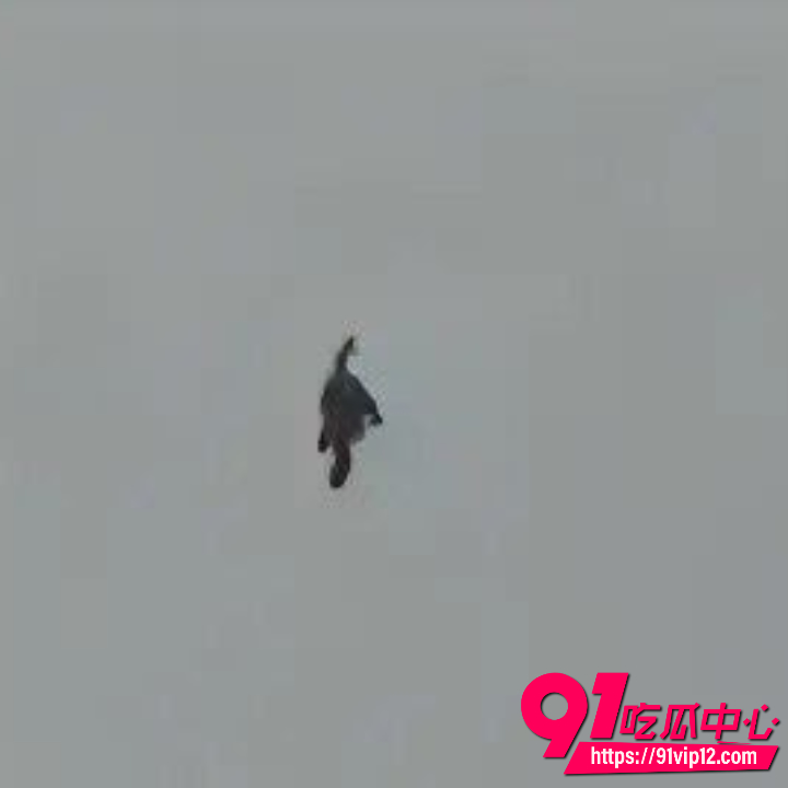 河北飞僵事件7
