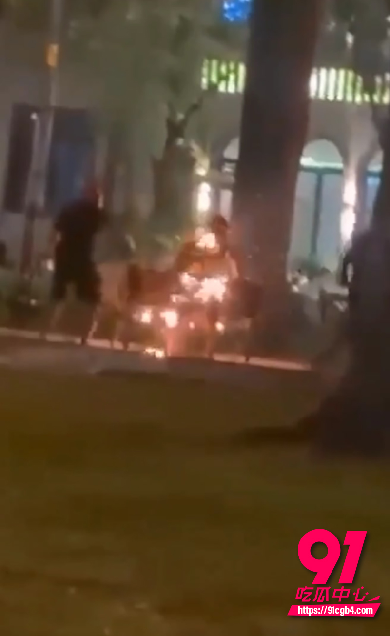 越南胡志明市公园自焚事件 7 越南胡志明市公园自焚事件 7