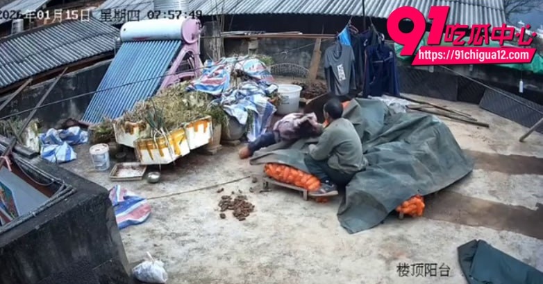 云南盈江家暴8 云南盈江家暴8
