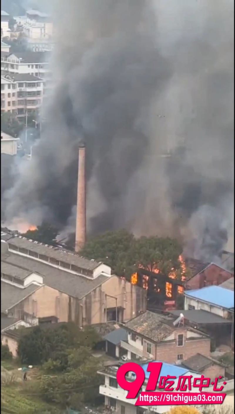 株洲炎陵县一工厂发生火灾3