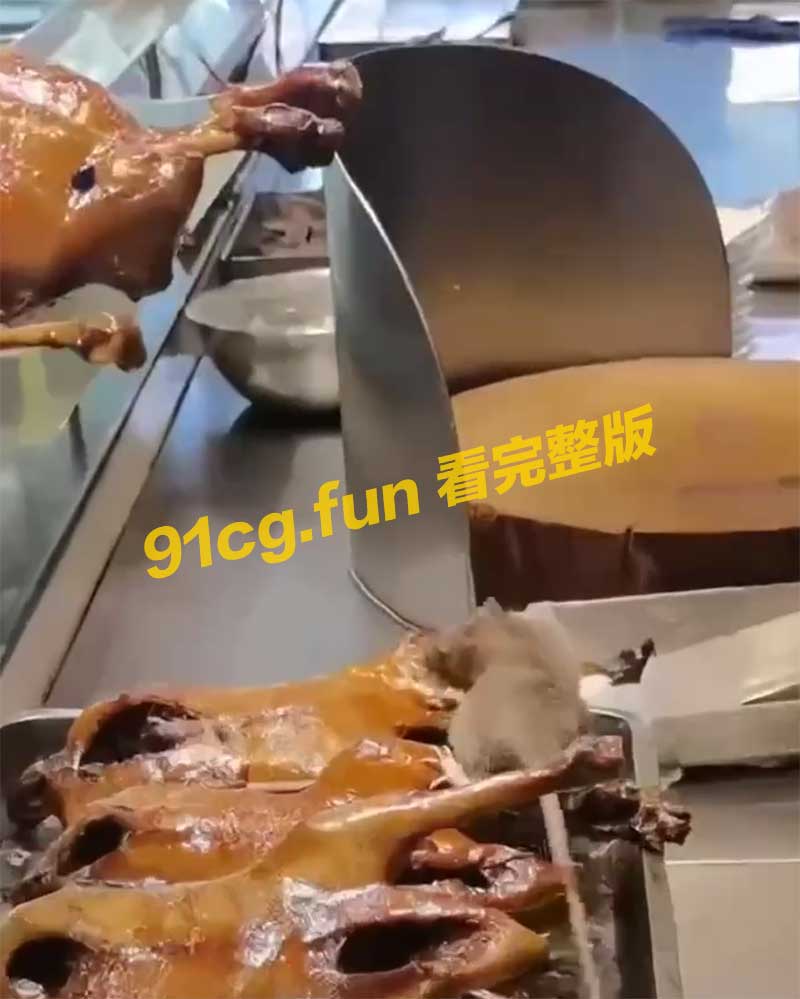 老鼠.jpg