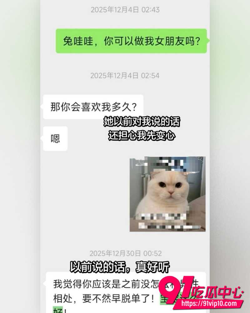 兔哇哇分手大战  11