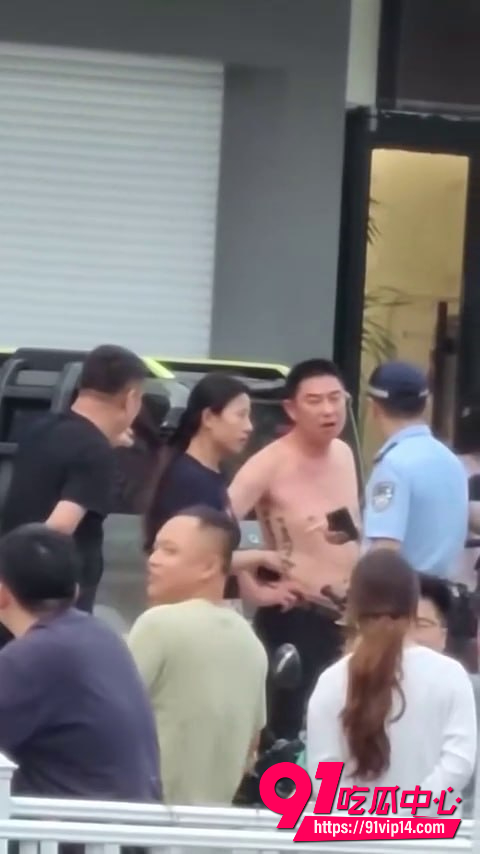 宠物碰瓷9 宠物碰瓷9