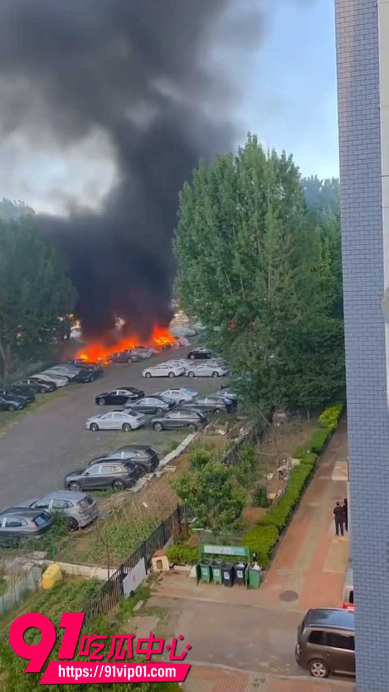 辽宁74岁老人嫌路边杨絮影响健身走步将其点燃导致20辆新能源汽车被烧毁5