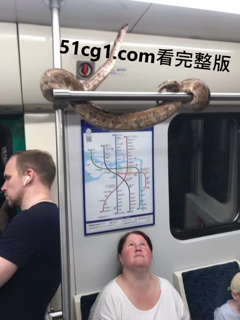 大家好镇定喔