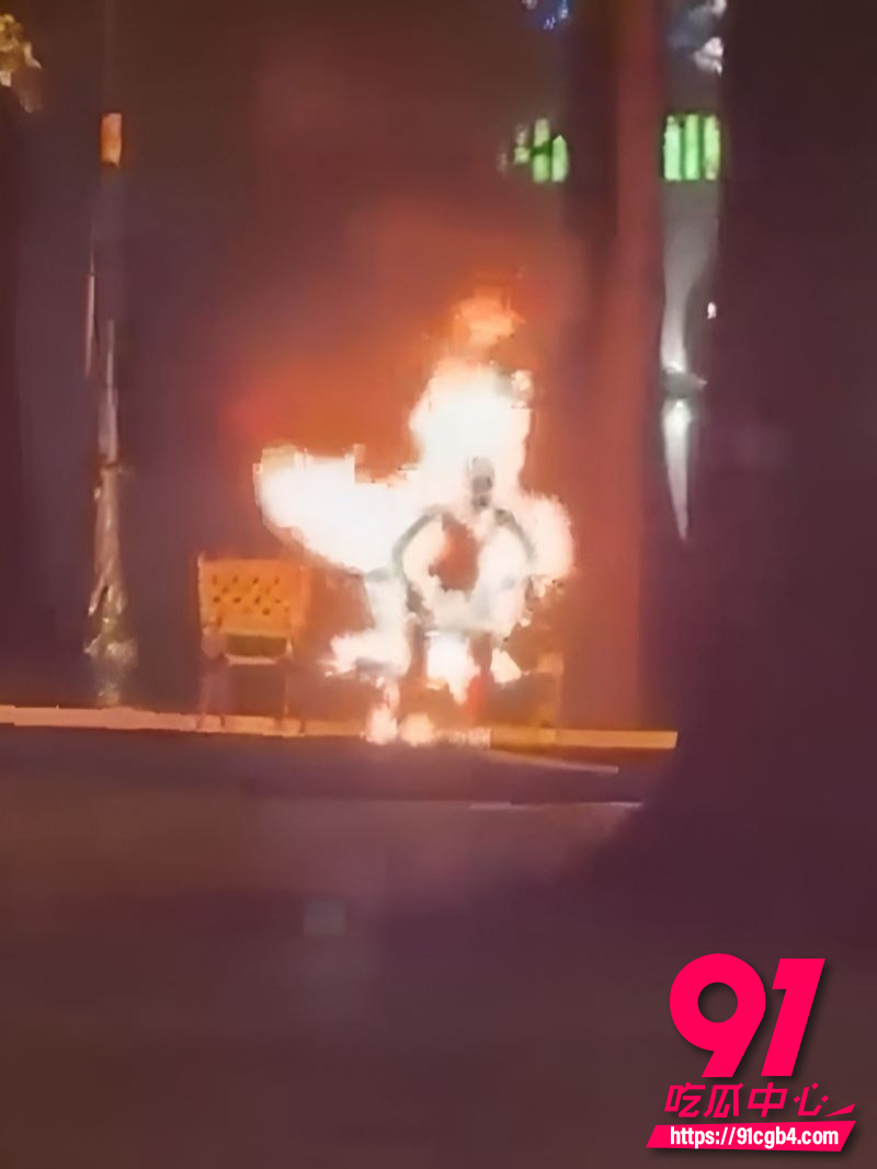 越南胡志明市公园自焚事件 2 越南胡志明市公园自焚事件 2