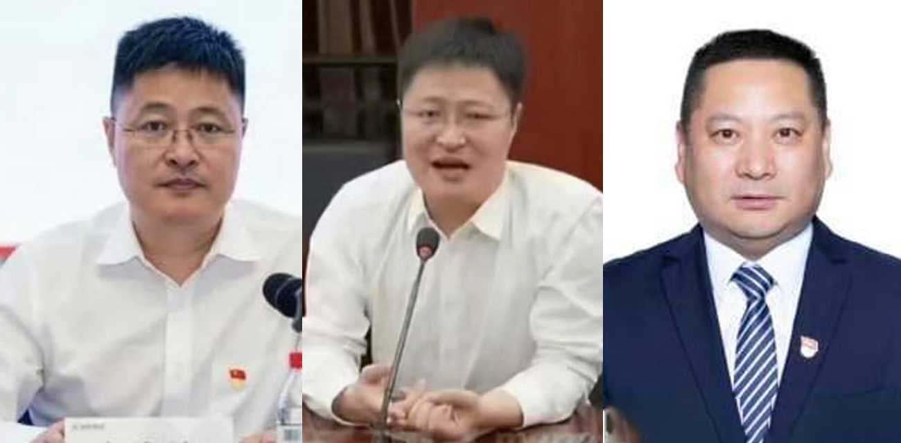 杭州商务饭局惊变刑案 地产高管赵海峰与公职人员酒后强制猥亵女性 畸形应酬乱象引发全网热议！