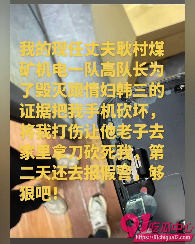 娜姐手撕公职丈夫高飞 24