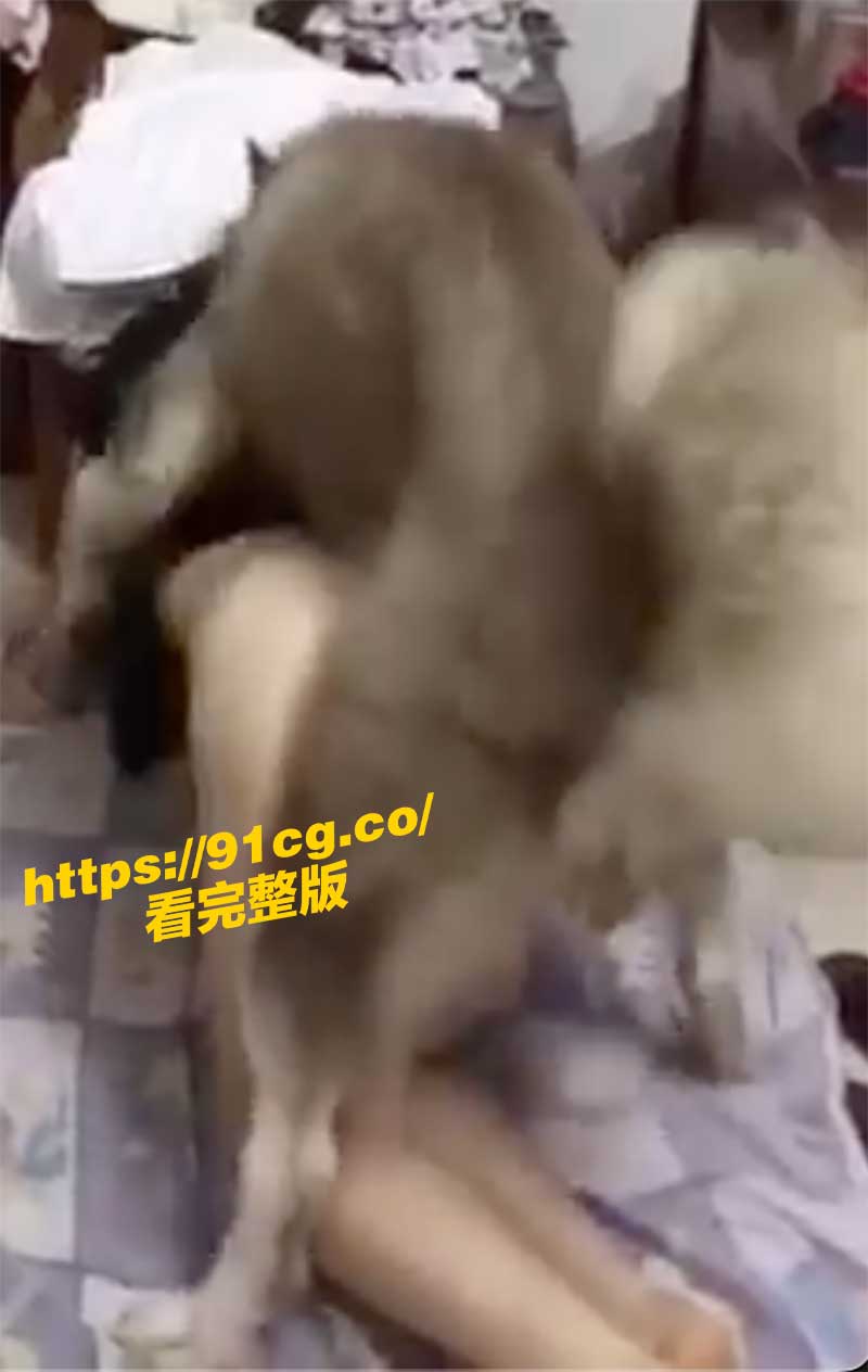 獸交4.jpg 獸交4.jpg