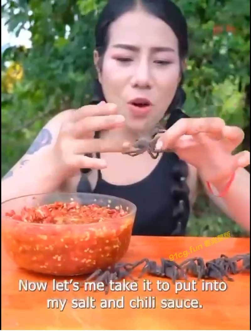蜘蛛.jpg