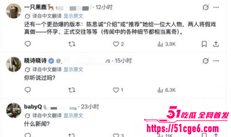 佟丽娅再婚绯闻爆火018